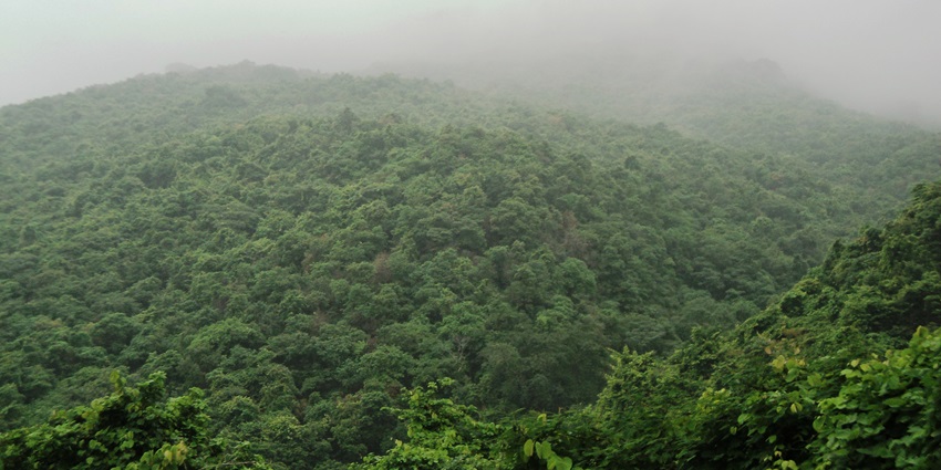 Visitors should explore Ormanjhi Zoo during the pleasant weather in the winter months.