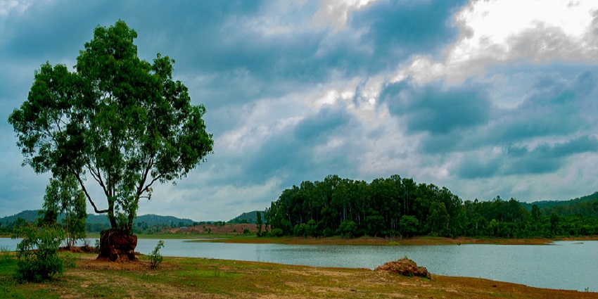 The best time to visit Bannerghatta Wildlife Sanctuary is during winter.