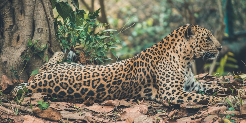 The best time to visit Thol Lake Wildlife Sanctuary is during the winter months.