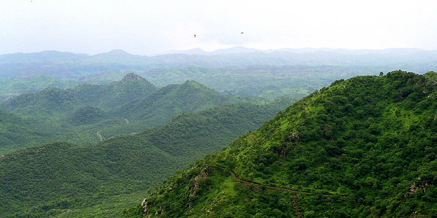 Best time to visit Balaram Ambaji Wildlife Sanctuary is between October to May.