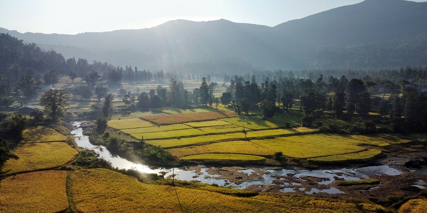 A breathtaking view of a lush green valley in Gujarat with a stream of water in between.