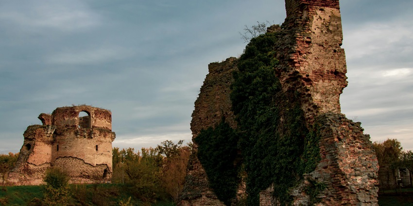 November to February are the month to explore the tourist attractions in Gujarat, India.
