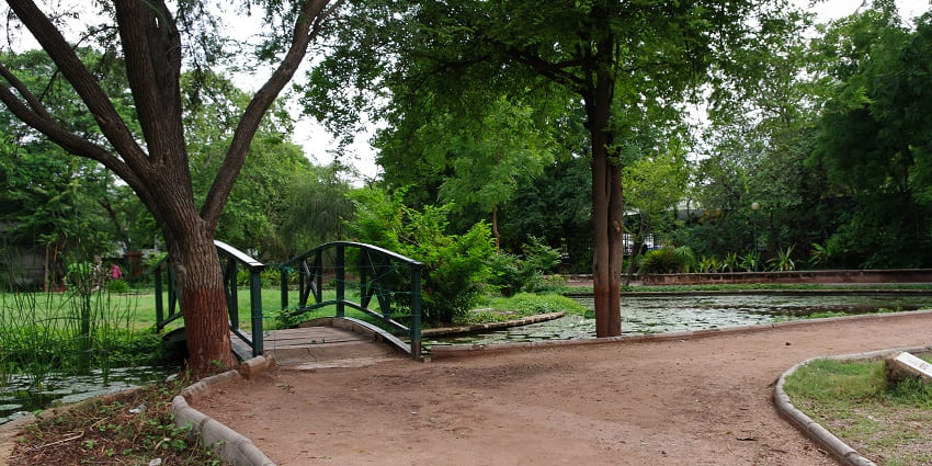 The best time to visit the Rasala Nature Park in Ahmedabad is during the winters.