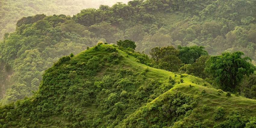 The best time to visit the Ranganathittu National Park is during the winter months.