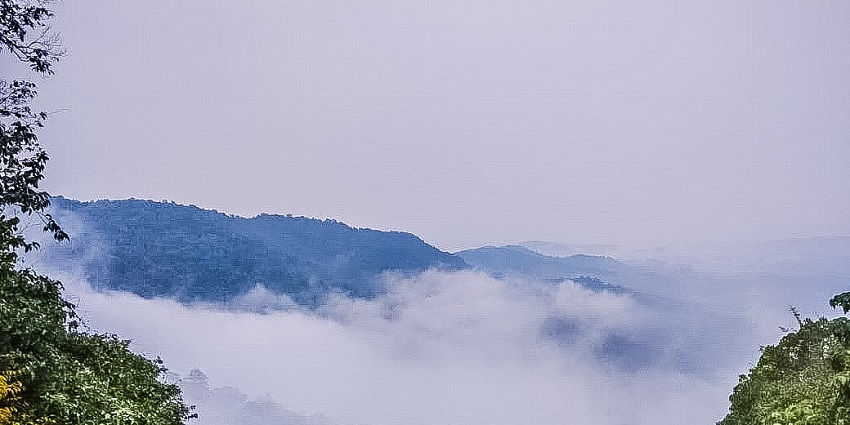 The best time to visit and capture the Bhimgad Wildlife Sanctuary photos is during winter.