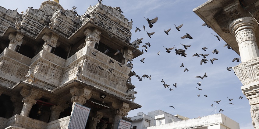 The best time to visit Kankarwa Fort Rajasthan is from October to March.