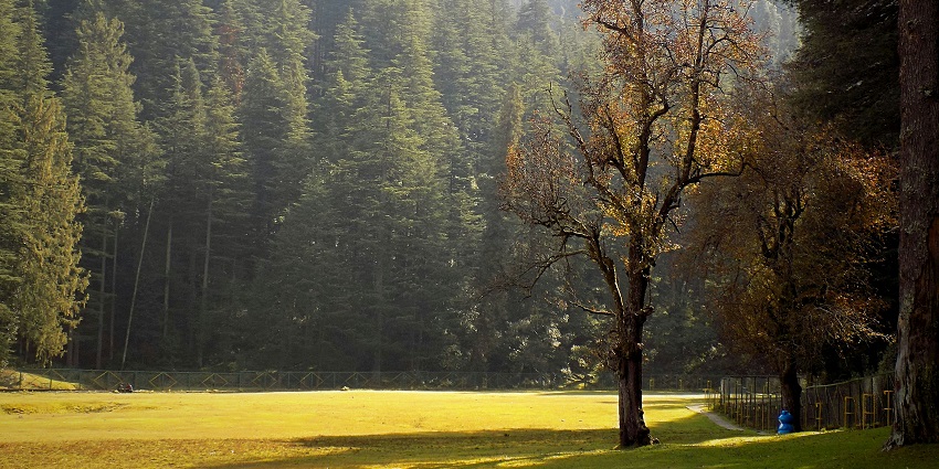 Enjoy the pleasant weather of Himachal Pradesh while paragliding in Khajjiar, India.