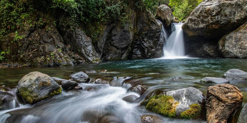 A scenic shot of the Ghagra Waterfalls surrounded by blooming flowers and greenery.