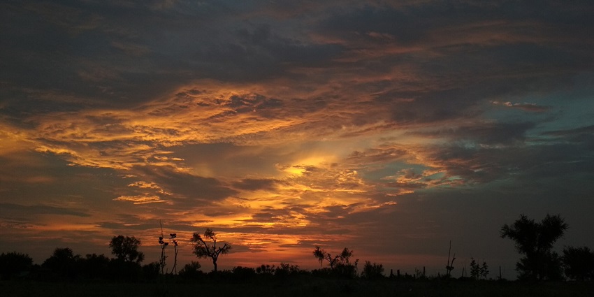 A stunning sunset over the Thar Desert in Rajasthan, India, casting golden hues.