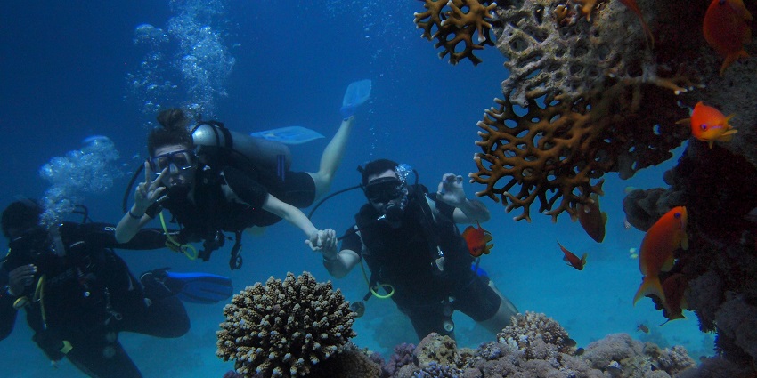 Image of three people diving on body of water - scuba diving in goa Baga beach