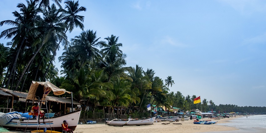 A panoramic view of Palolem Beach in Goa, showcasing its sandy shore and palm trees.