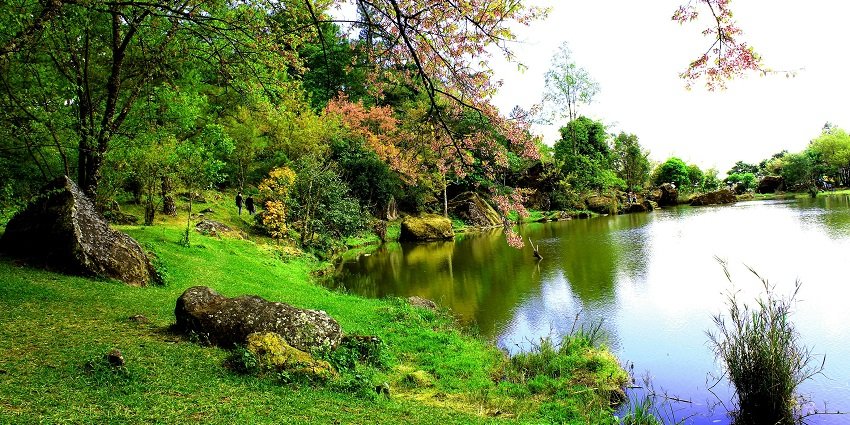 Panoramic view of a lake and the lush jungle surrounding it near the ch devi lal herbal nature park