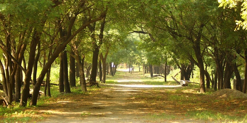 The best time to visit the Sultanpur National Park is between the months of October to February