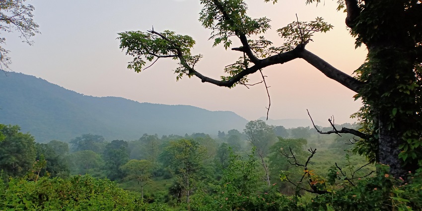 Into the wilds of Rourkela with a faint view of a not-so-high hill during the time of sunset.