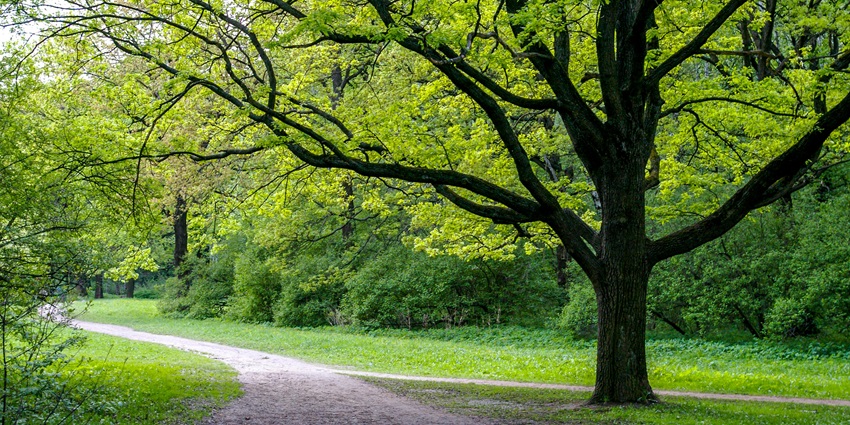 The ideal time to visit Khaparwas Wildlife Sanctuary enhances one’s experience to the best.