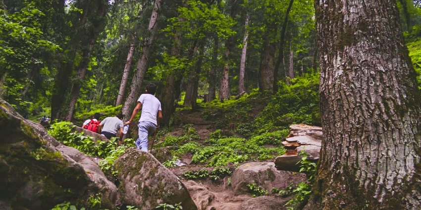 A picture of a group of people trekking in the hills with trees and greenery all around