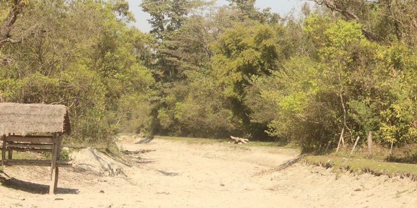 Path winding into the forest of one of the many wildlife activities in Bardiya National Park.