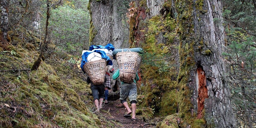 A trail leading to the Makalu Barun National Park provides a scenic view