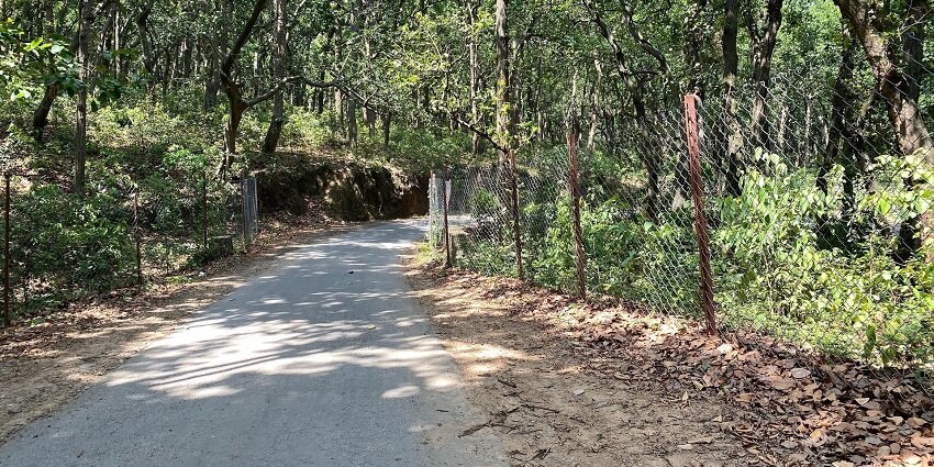 Kalesar National Park can be visited from July and September, the best time.