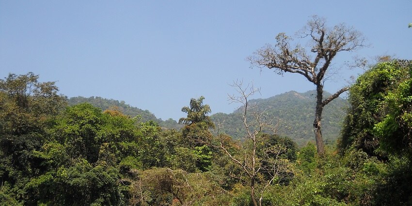 The ideal time for Thusharagiri trekking is early morning during the winter months.
