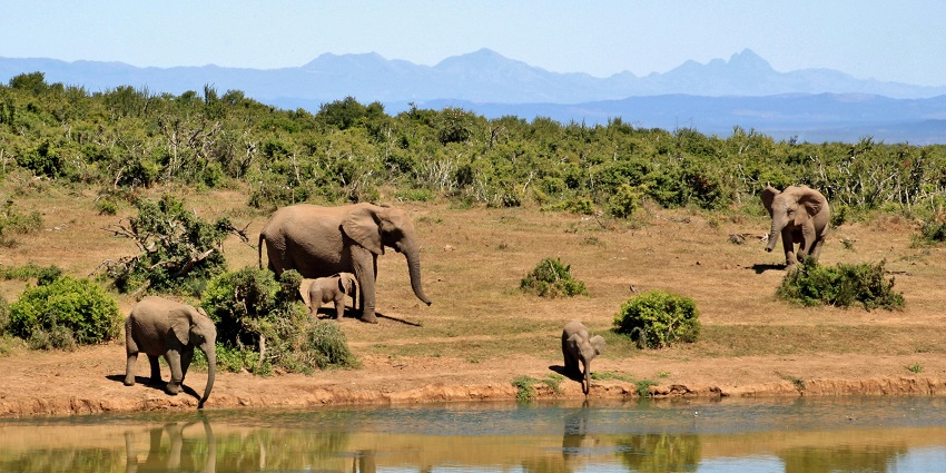 The best time to visit the sanctuary is required to make the most out of your trip.