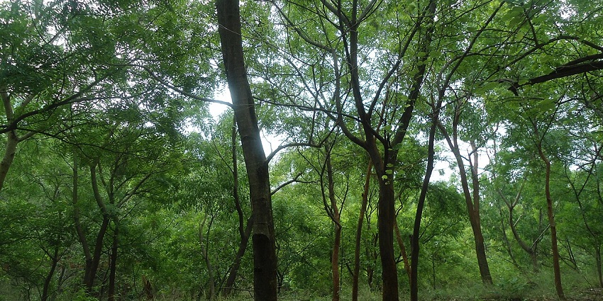 The best time to visit this sanctuary is the winder months as the weather is very pleasant