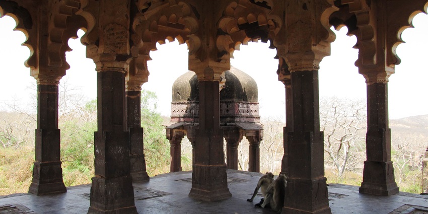 A view of the tall arches of a fort, with monkeys around pillars during the daytime.