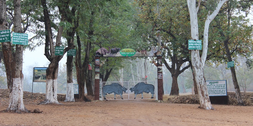 Entrance of Betla national park, surrounded with greenery, tall lush trees