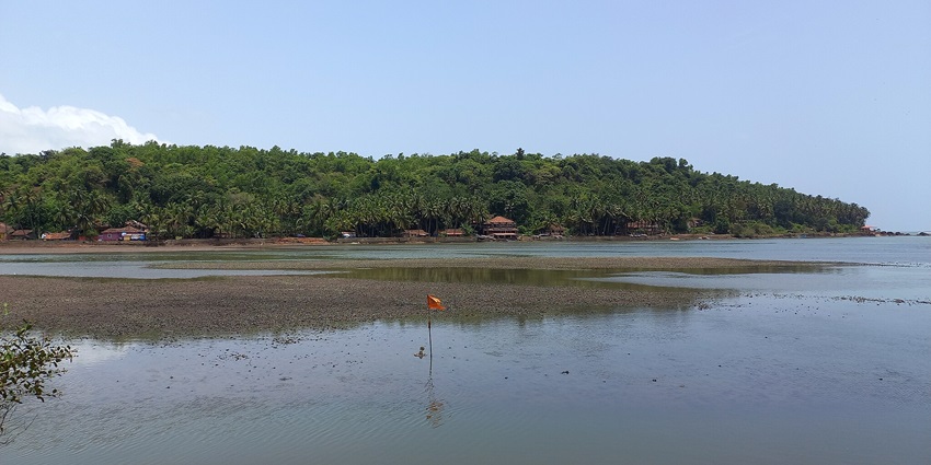 A picture of a secluded beach in Goa with a grassy surrounding