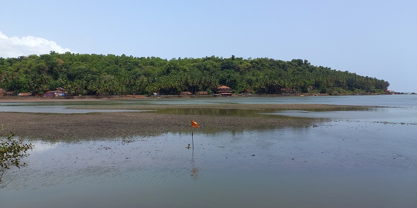 Serene view of the beach with lush forests in the background