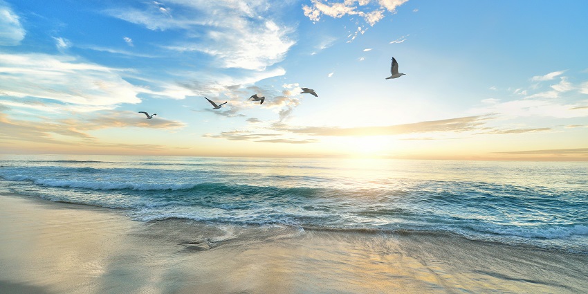 A view of glistening waters meeting the golden sands with a picturesque backdrop.
