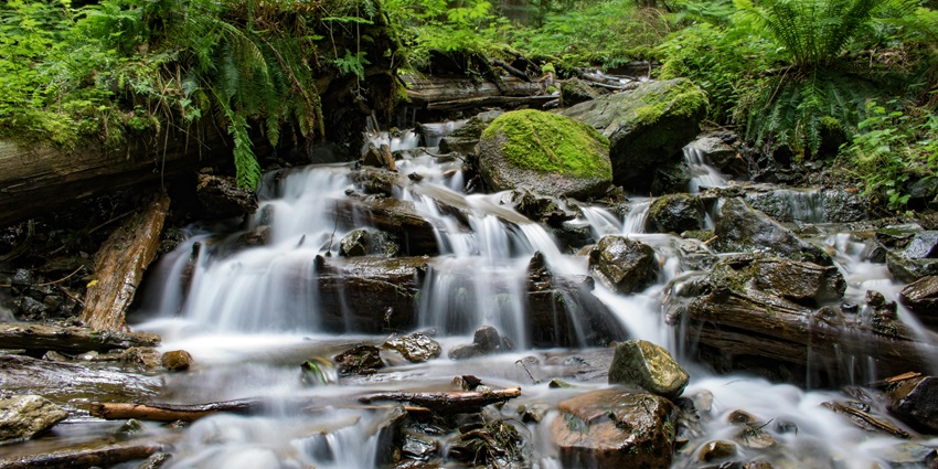 Located near Dharamshala in Himachal Pradesh, this cascading beauty is a must-visit.