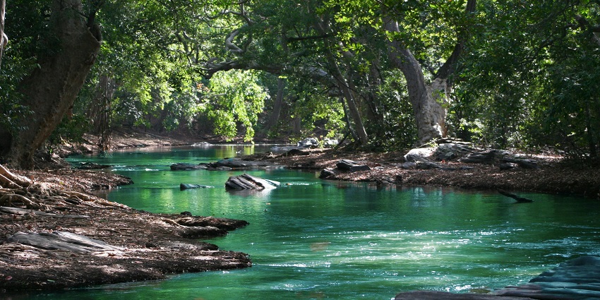 You can also choose to explore Bhalswa Lake near Splash The Water Park New Delhi.