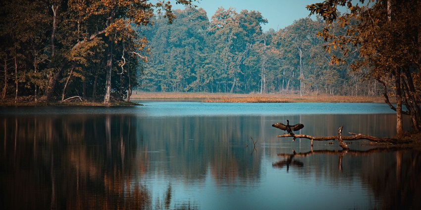 Cityscape of Bharatpur, featuring its setting and proximity to Chitwan National Park.