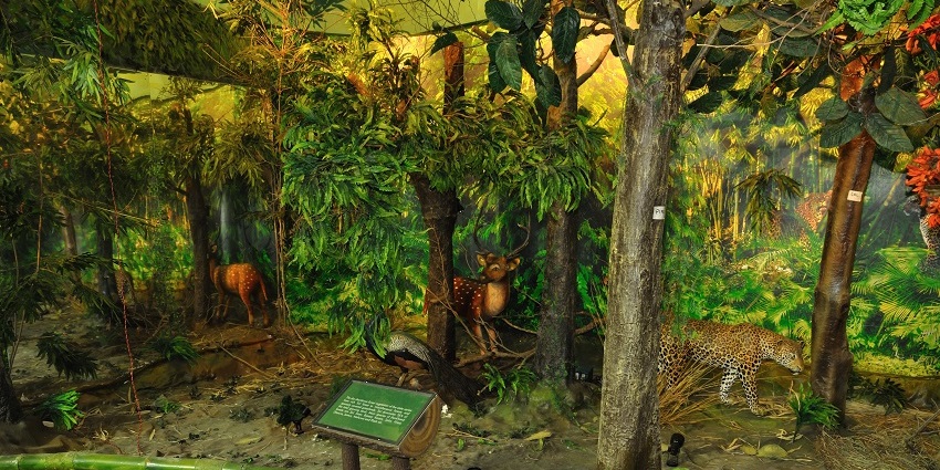 Andheri Nature Center is one of the well-known places to visit in Andheri, with exhibits and tours on local biodiversity.