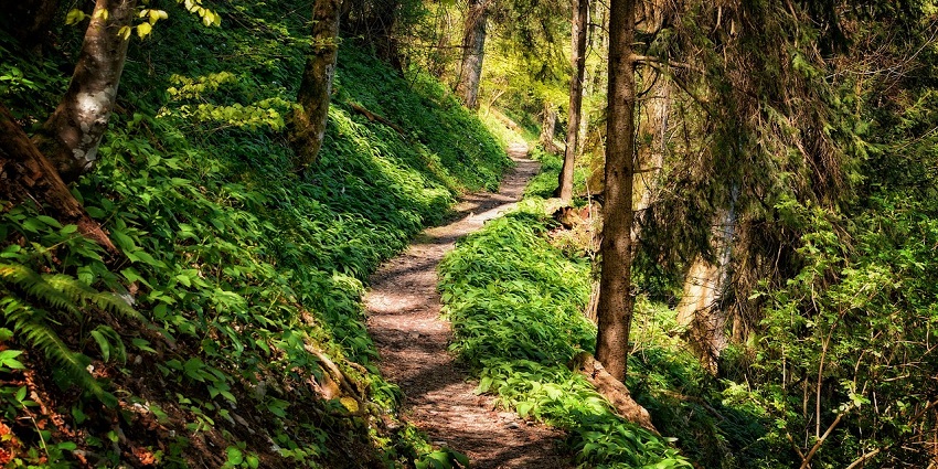 Bhelnu Tibba is a perfect place for trekkers and hikers seeking scenic views.
