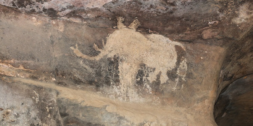 A picture of one of the wall art made by the early humans representing a huge mammal engraved on the wall of Bhimbetka Rock Shelter.