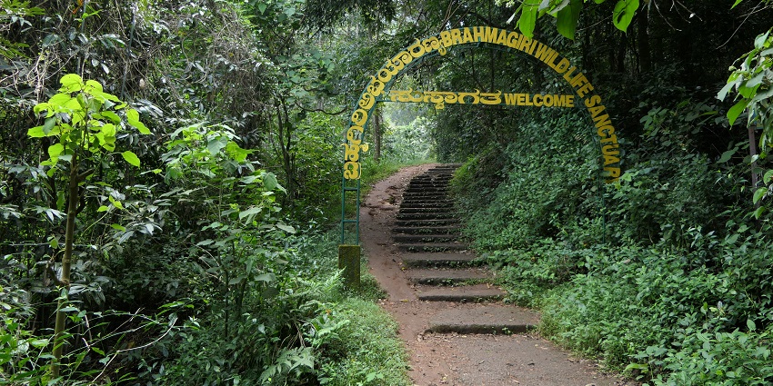 Scenic snapshsot of the beautiful Bhimgad Wildlife Sanctuary near Goa