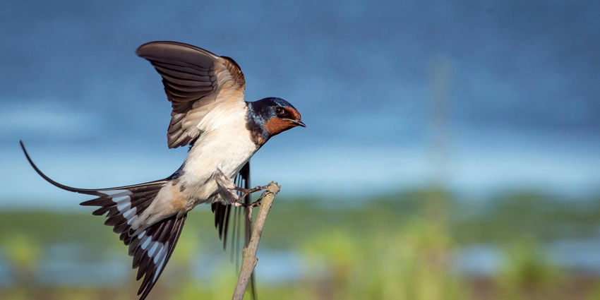 Bhindawas Wildlife Sanctuary is home to 250+ bird species, perfect for nature lovers.