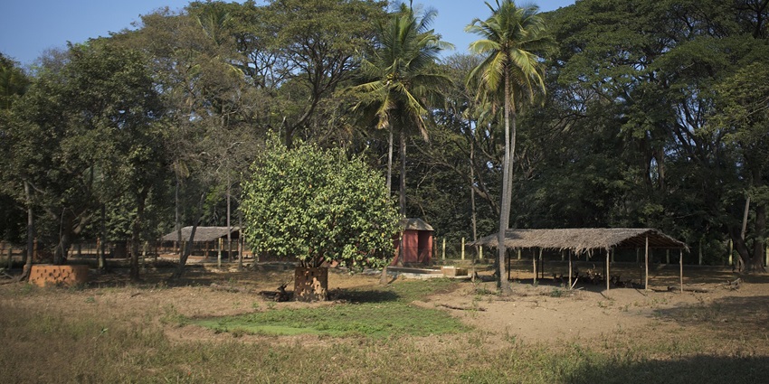 Scenic view of the Bhiwani zoo surrounded by lush trees and beautiful zoo settings