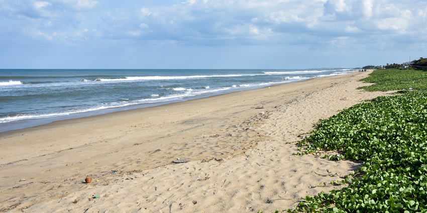 Bhogwe Beach: undiscovered gem with white sands and clear waters and the panoramic view of the Ocean