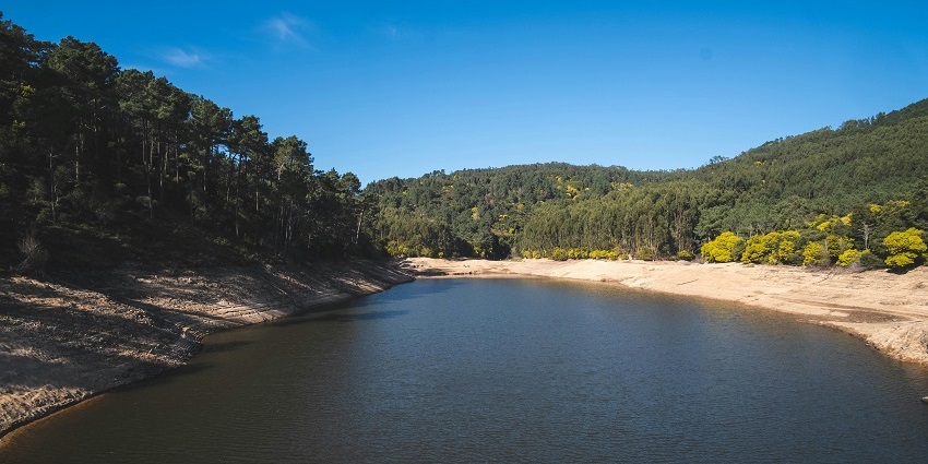 A breathtaking view of a water reservoir surrounded by lush greenery during the day.