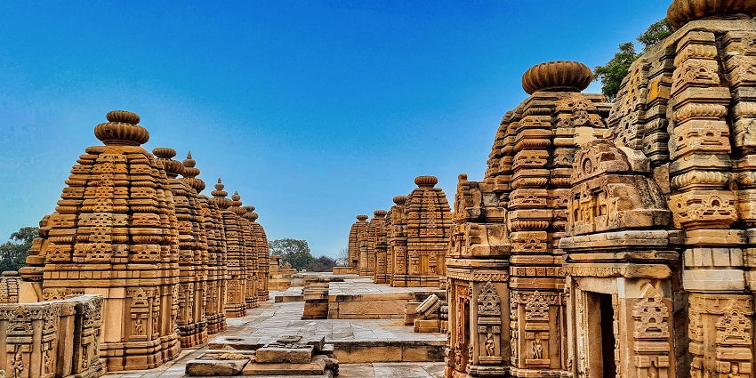 An image of a ruin of an ancient temple, a famous place near Kesarbagh Sanctuary.