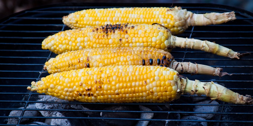 A mouth-watering view of three corn cobs on a stove for travellers to eat and enjoy.