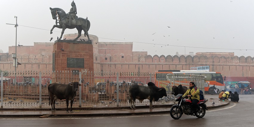 Statue of Shardul Singh in Bikaner, a remarkable place to visit in Rajasthan in January