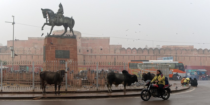 Bikaner features historic forts, palaces, camel festivals, and vibrant bazaars.