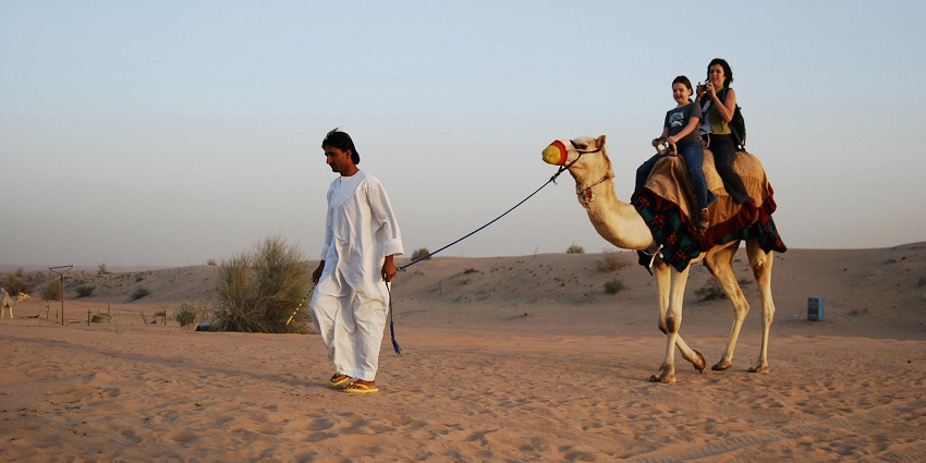 Bikaner desert camping offers camel safaris, local delicacies, and budget-friendly experiences.