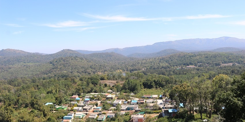 Biligiri Ranga Hills, a unique Karnataka habitat, is home to wildlife and lush woods.
