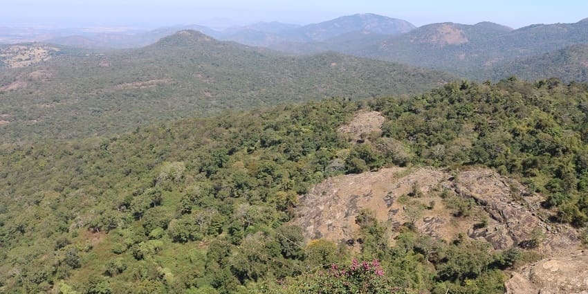 Majestic views from the Biligiriranga Hills, which are covered in dense forest