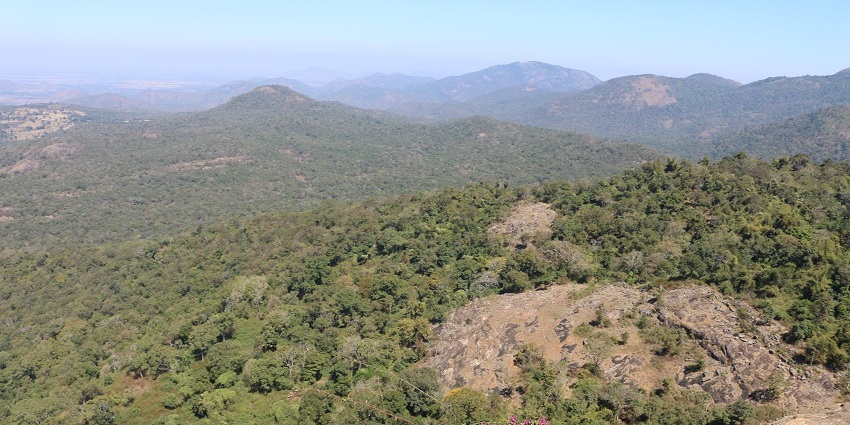 The Biligiriranga Hills offer a blend of wildlife, forested areas, and expansive views of the Western Ghats.